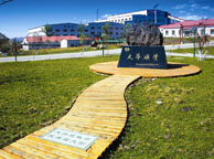 银川天华矿业集团